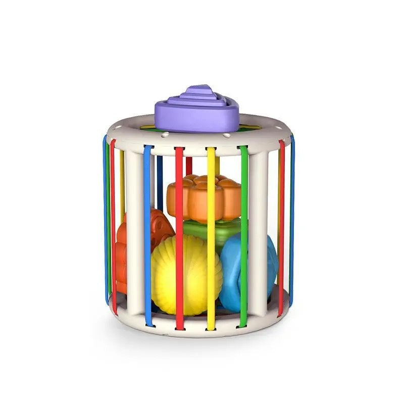 Fruit Rainbow Sensory Educational Toys