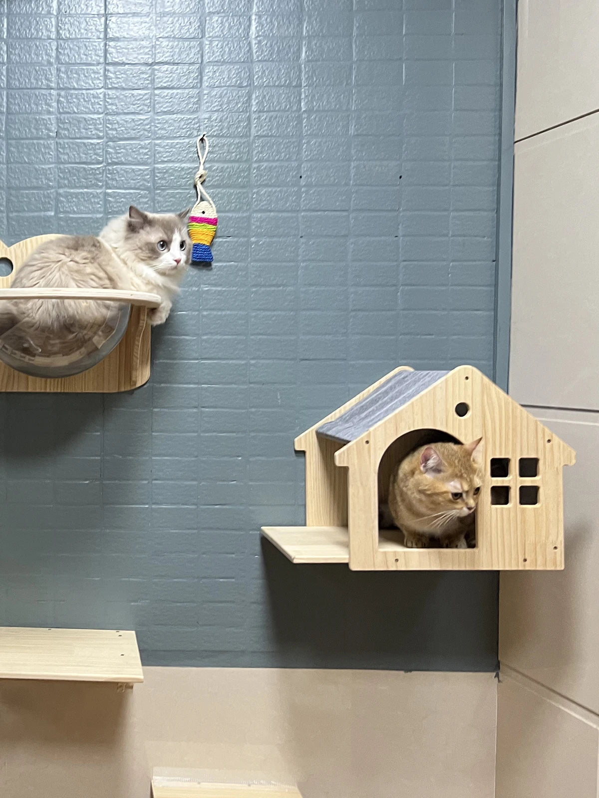 CWV Wall Mounted Cat Climbing House and Floating Shelf Bed Villa for Indoor Cats