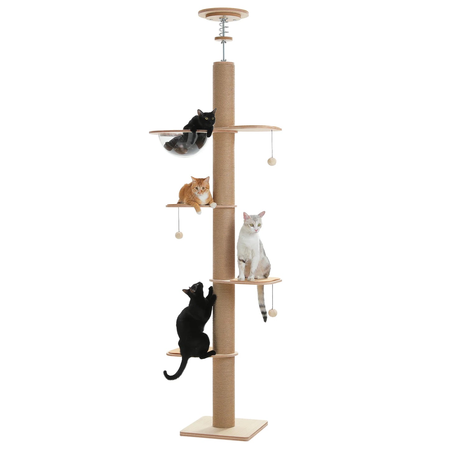 PAWZ Road Floor to Ceiling Adjustable Wooden Cat Tree with Acrylic Cave and Thick Scratching Posts