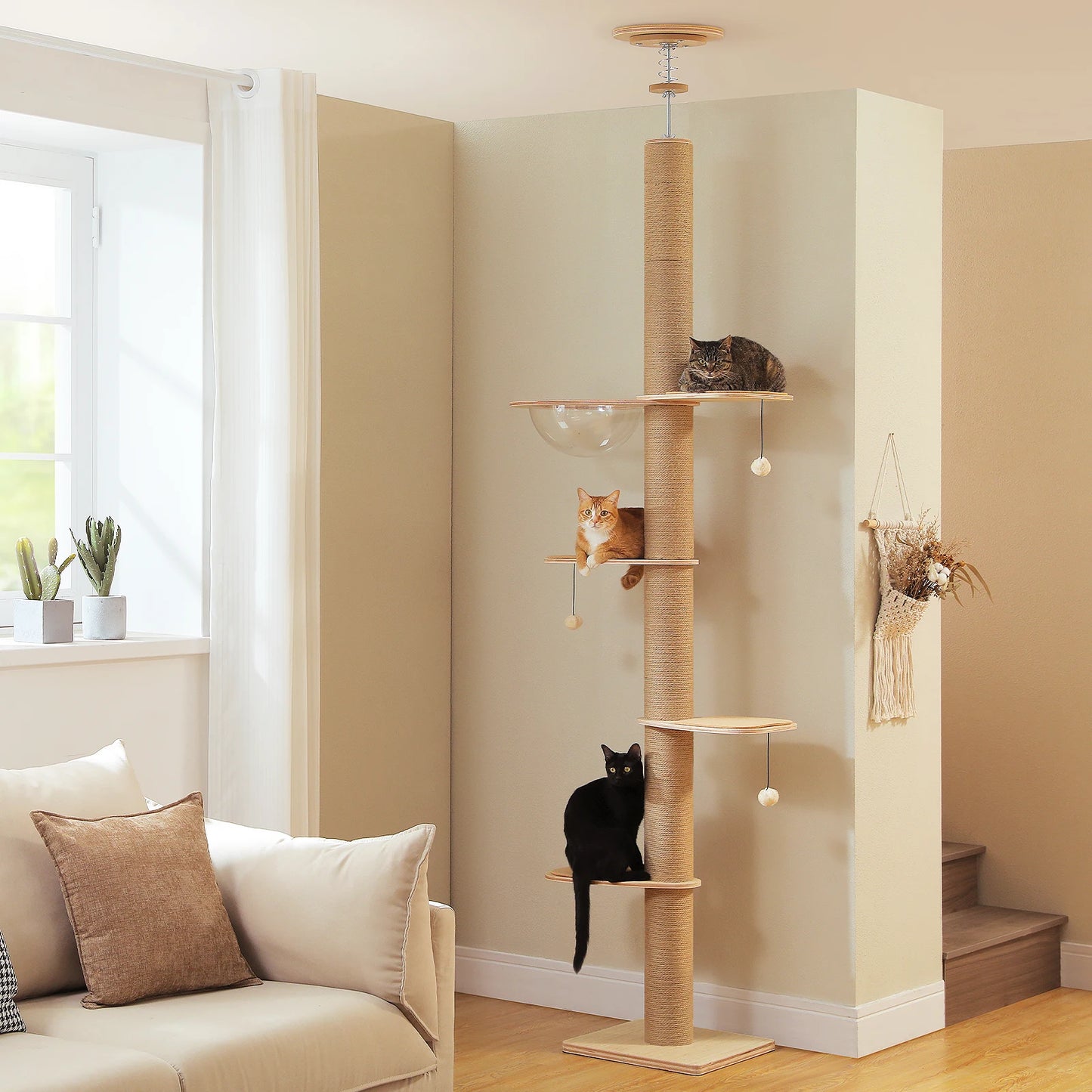 PAWZ Road Floor to Ceiling Adjustable Wooden Cat Tree with Acrylic Cave and Thick Scratching Posts