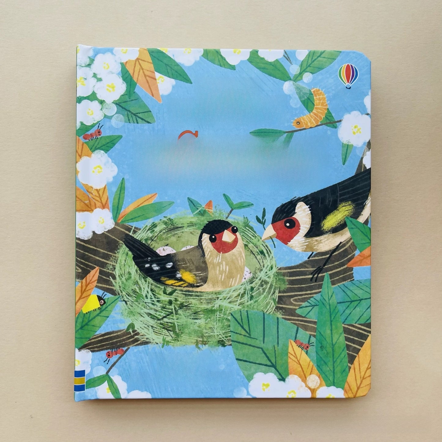 Peek Through Educational Picture Books for Toddlers