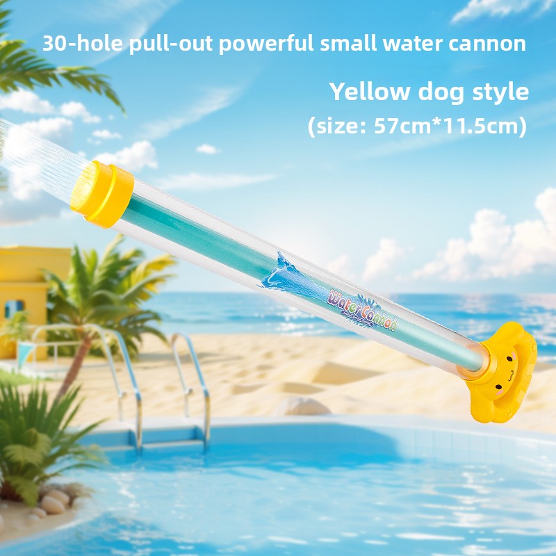 Toy water gun
