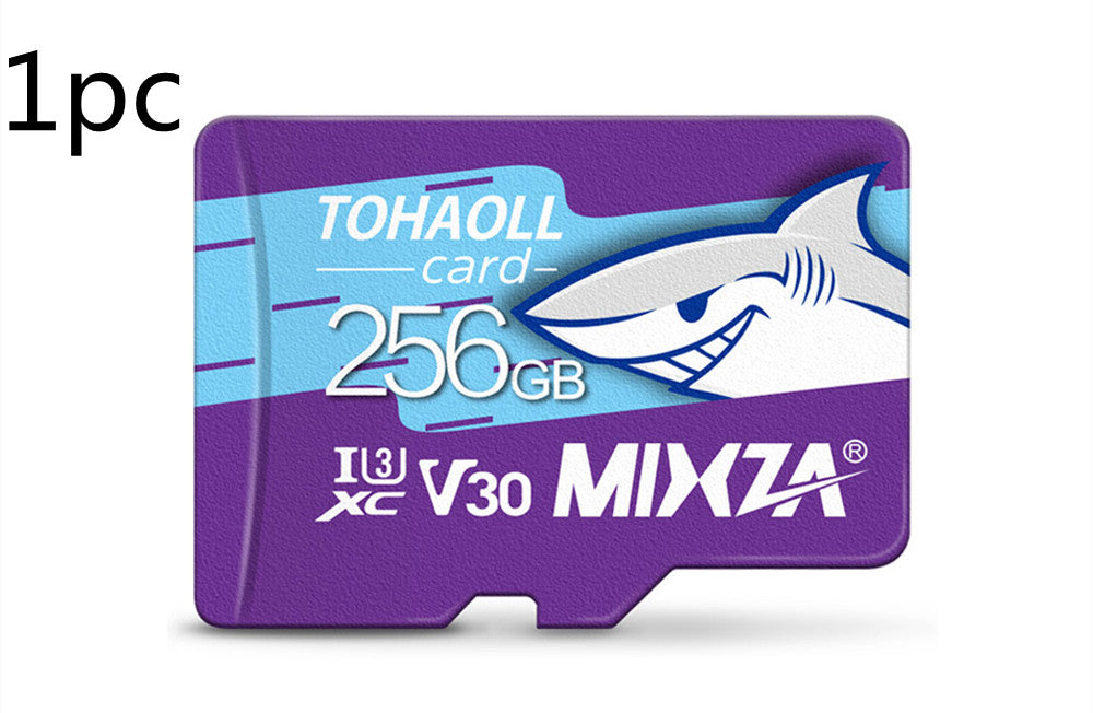 C10 High-Speed Micro SD Memory Cards