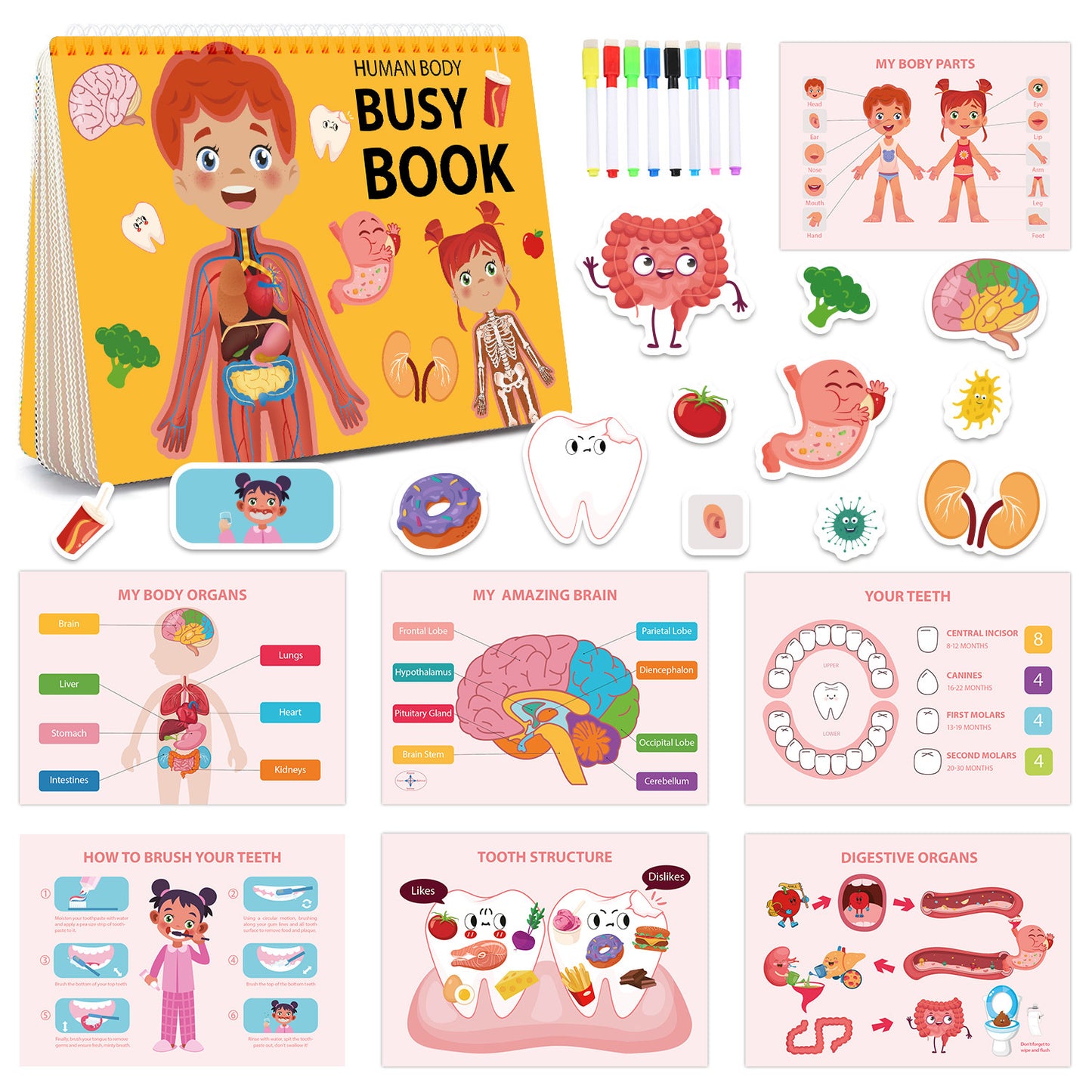 Montessori Busy Book for Early Learning