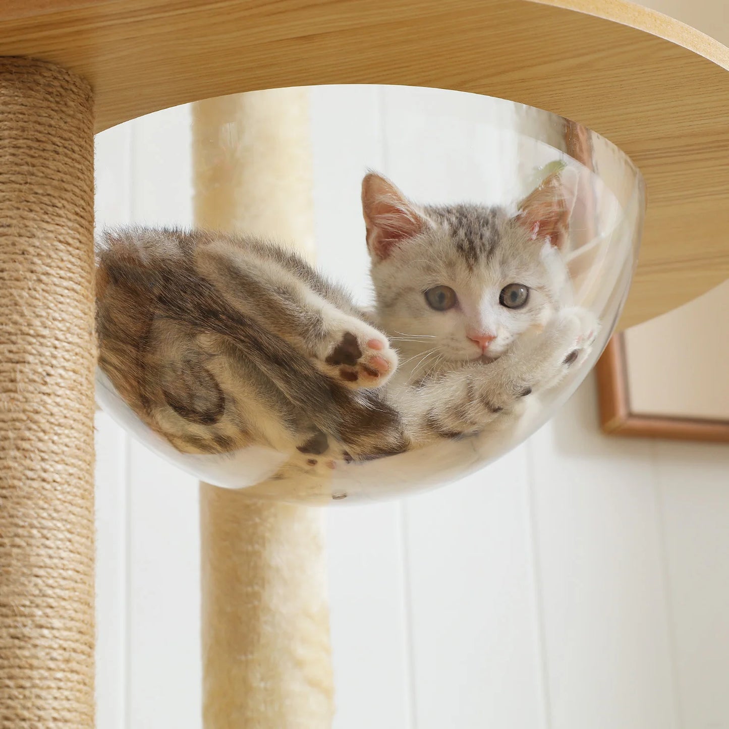 PAWZ Road Multi-Level Wood Cat Tower with Spacious Condo Hammock and Top Perch