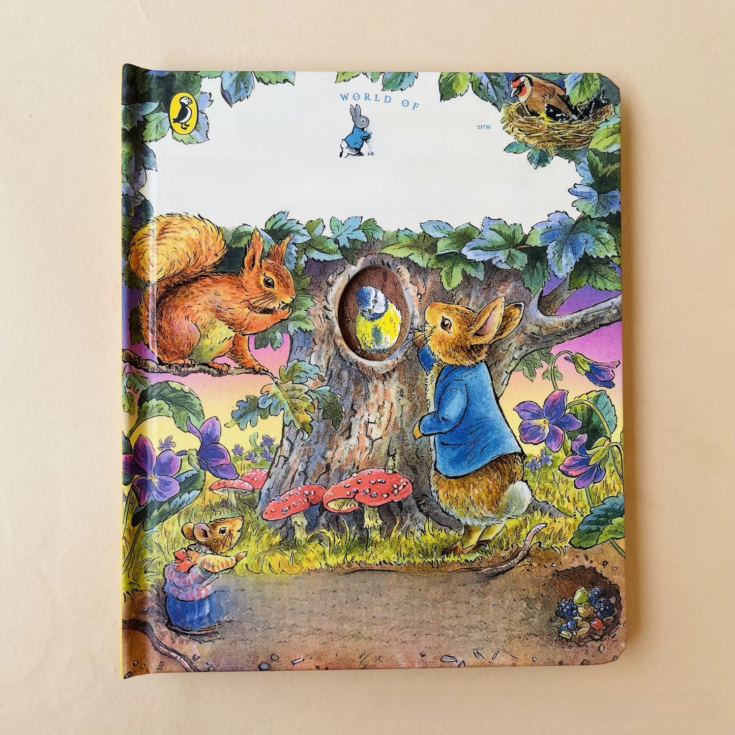 Peek Through Educational Picture Books for Toddlers
