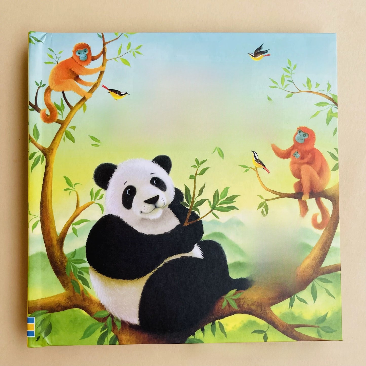 Pop-up Book
